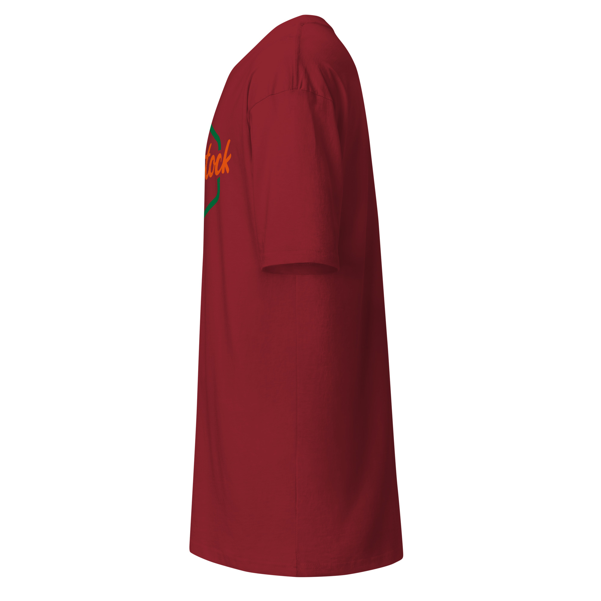 Men’s Woodstock premium heavyweight tee - Image 9