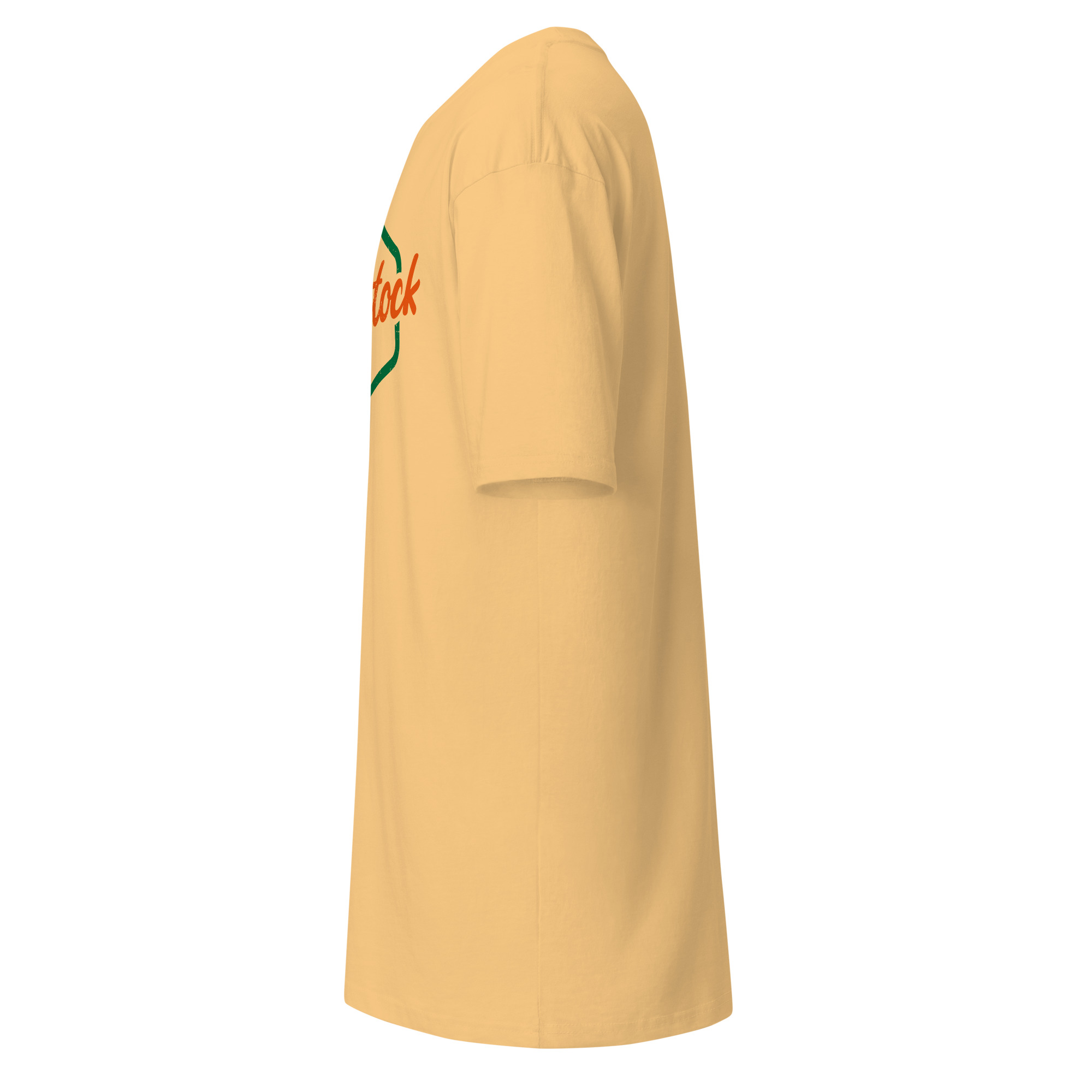 Men’s Woodstock premium heavyweight tee - Image 14