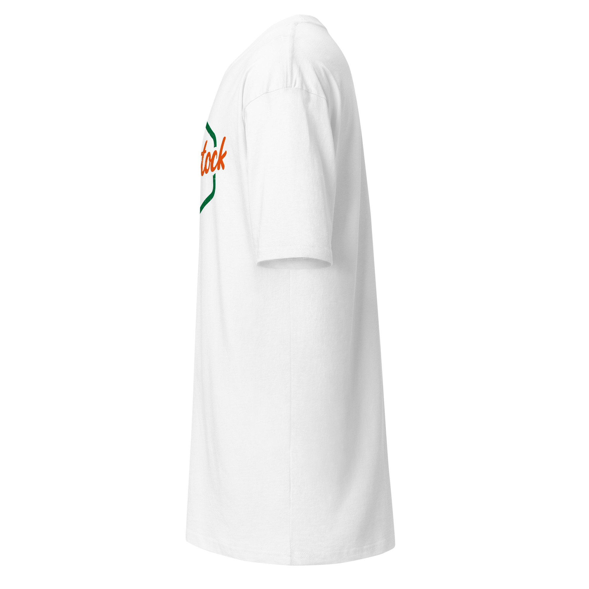 Men’s Woodstock premium heavyweight tee - Image 17